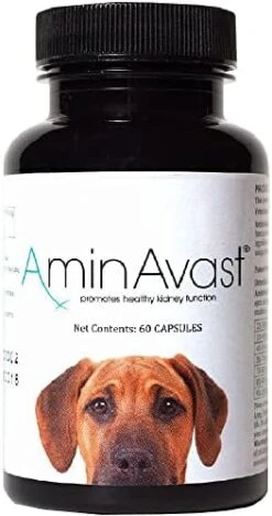 AminAvast Kidney Support Supplement For Cats And Dogs, 300mg - Promotes Natural Kidney Function - Aids In Health And Vitality Of Aging Kidneys - Easily Administered - 60 Sprinkle Capsules 12 AminAvast Kidney Support Supplement For Cats And Dogs, 300mg - Promotes Natural Kidney Function - Aids In Health And Vitality Of Aging Kidneys - Easily Administered - 60 Sprinkle Capsules -Pet Products Shop 41M0y IkFxL. AC