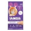 IAMS PROACTIVE HEALTH Healthy Kitten Dry Cat Food With Chicken, 7 Lb. Bag -Pet Products Shop 41M4oyCFABL