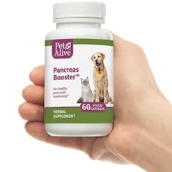 PetAlive Pancreas Booster - All Natural Herbal Supplement For Pancreatic Health And Digestive Functioning In Cats And Dogs - Supports Healthy Insulin Production - 60 Veggie Caps -Pet Products Shop 41N7sfFV5WL