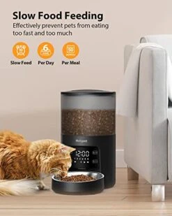 Molypet Automatic Cat Feeders With Timer - 4L Cat Food Dispenser Of 6 Meals With 10S Voice Recorder And Desiccant Bag, Support Dual Power For Cats And Dogs
