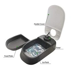 PAWISE Automatic Pet Feeder, Auto Dog Dry Food Dispenser With Timer For Cats And Dogs (1 Meal) -Pet Products Shop 41OwLN3VYGL