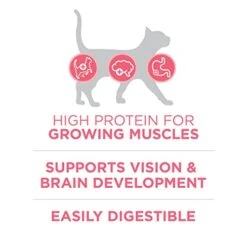 Purina ONE High Protein, Natural Dry Kitten Food, +Plus Healthy Kitten Formula - 16 Lb. Bag 15 Purina ONE High Protein, Natural Dry Kitten Food, +Plus Healthy Kitten Formula - 16 Lb. Bag -Pet Products Shop 41Oz8PfModL