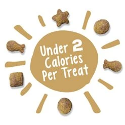 Nestle Purina Petcare 20 Oz Friskies Party Mix Gravy-licious Chicken & Gravy Flavors Cat Treats - (Pack Of 3) -Pet Products Shop 41PFAm6E5nL