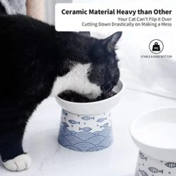 Tilted Ceramic Raised Cat Bowls, 8 OZ Elevated Slanted Food And Water Bowls, 5 Inch Wide Porcelain Pet Feeder Dish For Cats, Kittens And Puppies, Stress Free, Protect Pet's Spine, Set Of 2(Blue&Black) -Pet Products Shop 41PhtzcPP3L