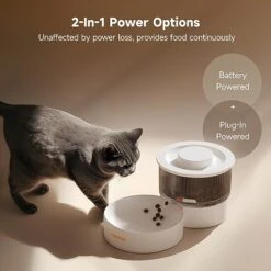 Lulumiao Automatic Cat Feeders With Slow Dispensing, Healthier Timed Cat Food Dispenser Prevents Bloating For Small Dog, Customized Feeding Schedule, Dual Powered, APP Control Up To 99 Portion 10 Meal -Pet Products Shop 41Pkypaz5hL