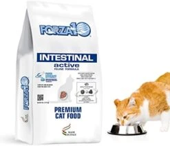 Forza10 Active Intestinal Support Diet Dry Cat Food For Adult Cats, Cat Food Dry For Upset Stomach, Diarrhea And Intestinal Disorders, Wild Caught Anchovy Flavor, 4 Pound Bag -Pet Products Shop 41PrgDtqbL. AC