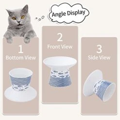 6.25 Inch Extra Wide Ceramic Raised Cat Food Bowls, Elevated Porcelain Cat Feeding Dish, Heavy Pet Feeder Bowl For Elder Big Cats,Small Dogs, Anti Vomiting, Protect Pet's Spine, 2 Pack(Blue&Orange) -Pet Products Shop 41PzvIoJf6L