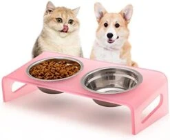 Tilted Raised Cat Bowls, Elevated 15° Orthopedic Bowls For Puppy Or Small Dog, 4 Stainless Steel Pet Feeding Food Dishes Set, Durable Acrylic Stand, Easy To Clean, Also Perfect For Travel (Clear) -Pet Products Shop 41Q5jROLqQL. AC