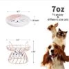 Raised Pet Food And Water Bowl, Cat And Small Dog Bowl, Tilted Ceramic Cat Water Bowl No Spill,15oz, Dishwasher Safe