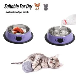 Cat Bowls For Food And Water, 2PCS Rapsrk Non-Slip Stainless Steel Small Cat Food Bowls 8 Oz Pet Bowl With Removable Rubber Base Cat Dog Bowl,Stackable Cat Puppy Dishes Cat Bowls With Cute Cat Painted 14 Cat Bowls For Food And Water, 2PCS Rapsrk Non-Slip Stainless Steel Small Cat Food Bowls 8 Oz Pet Bowl With Removable Rubber Base Cat Dog Bowl,Stackable Cat Puppy Dishes Cat Bowls With Cute Cat Painted -Pet Products Shop 41RVOQQKK4L