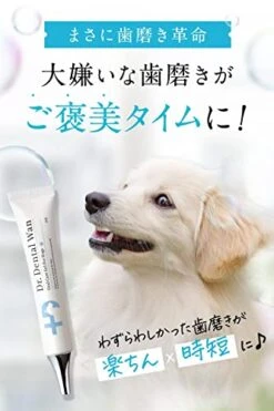 Dr. Dental Wan Cat Dog Toothpaste Toothbrush Set | Pet Breath Freshener | Japan Quality | Reduce Plaque & Tartar | Formulated By Vet And Pet Trainer | Best Organic Pet Dental Care Gel -Pet Products Shop 41RwlryIJKL