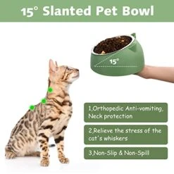 Sanwuta 7 Pcs Cat Food Bowl Stainless Steel Tilted Feeding For Little Cat Raised 15° Elevated Pet Dish For Kitten Puppy Neck Protection Anti Vomit Non Skid And Non Spill Easier To Reach Food, 7 Color -Pet Products Shop 41SzfCXq9PL