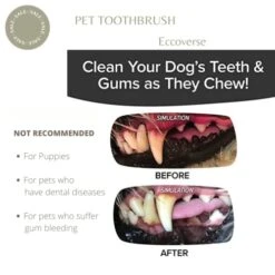 GENERIC ECCOVERSE PET Cleaning KIT For Dog's Teeth Cleaning Pets Dental Care Harmless Cleaning Kit Pets Oral Health Eco-Friendly, White (PTB24) 11 GENERIC ECCOVERSE PET Cleaning KIT For Dog's Teeth Cleaning Pets Dental Care Harmless Cleaning Kit Pets Oral Health Eco-Friendly, White (PTB24) -Pet Products Shop 41T2awnX85L