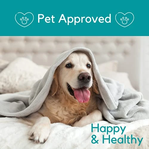 PB Pets Hemp Oil For Dogs And Cats - Organically Grown - Made In USA - Helps With Anxiety, Hip & Joint, Pain, Arthritis, And Stress - With Omega Complex (1-Pack) 7 PB Pets Hemp Oil For Dogs And Cats - Organically Grown - Made In USA - Helps With Anxiety, Hip & Joint, Pain, Arthritis, And Stress - With Omega Complex (1-Pack) - Image 5