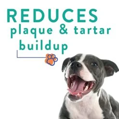 ProBesties Kiss (sm) - Bad Breath Treatment For Dogs - Dog Breath Freshener & Probiotic Perio Support - Dog Bad Breath Eliminator 11 ProBesties Kiss (sm) - Bad Breath Treatment For Dogs - Dog Breath Freshener & Probiotic Perio Support - Dog Bad Breath Eliminator -Pet Products Shop 41UZBJaTcTL