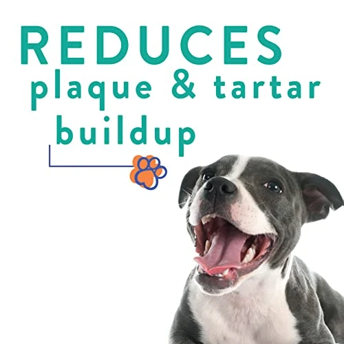 ProBesties Kiss (sm) - Bad Breath Treatment For Dogs - Dog Breath Freshener & Probiotic Perio Support - Dog Bad Breath Eliminator 5 ProBesties Kiss (sm) - Bad Breath Treatment For Dogs - Dog Breath Freshener & Probiotic Perio Support - Dog Bad Breath Eliminator - Image 3