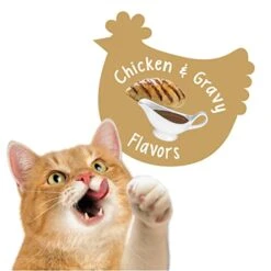 Nestle Purina Petcare 20 Oz Friskies Party Mix Gravy-licious Chicken & Gravy Flavors Cat Treats - (Pack Of 3) -Pet Products Shop 41V9RwQzYML