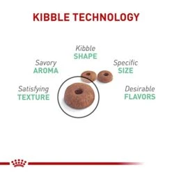 Royal Canin Feline Care Nutrition Digestive Care Dry Cat Food, 3 Lb Bag 9 Royal Canin Feline Care Nutrition Digestive Care Dry Cat Food, 3 Lb Bag -Pet Products Shop 41VDQztGgaL