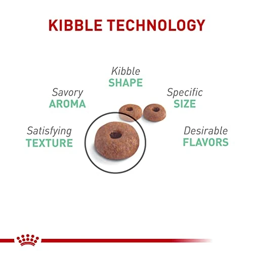 Royal Canin Feline Care Nutrition Digestive Care Dry Cat Food, 3 Lb Bag 5 Royal Canin Feline Care Nutrition Digestive Care Dry Cat Food, 3 Lb Bag - Image 3