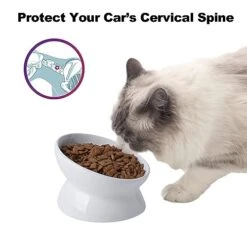 KITCHENLESTAR Cat Food Bowl 6", Elevated Tilted Cat Bowl, Raised Cat Bowls For Adult Cats Or Dogs, Ceramic Pet Food Water Dish 8 Oz, (White) 11 KITCHENLESTAR Cat Food Bowl 6", Elevated Tilted Cat Bowl, Raised Cat Bowls For Adult Cats Or Dogs, Ceramic Pet Food Water Dish 8 Oz, (White) -Pet Products Shop 41W9OZ4gwcL