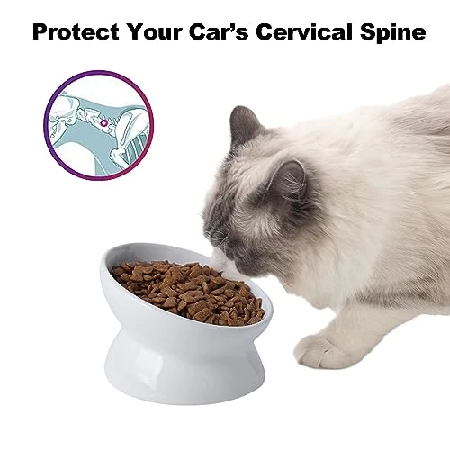 KITCHENLESTAR Cat Food Bowl 6", Elevated Tilted Cat Bowl, Raised Cat Bowls For Adult Cats Or Dogs, Ceramic Pet Food Water Dish 8 Oz, (White) 5 KITCHENLESTAR Cat Food Bowl 6", Elevated Tilted Cat Bowl, Raised Cat Bowls For Adult Cats Or Dogs, Ceramic Pet Food Water Dish 8 Oz, (White) - Image 3