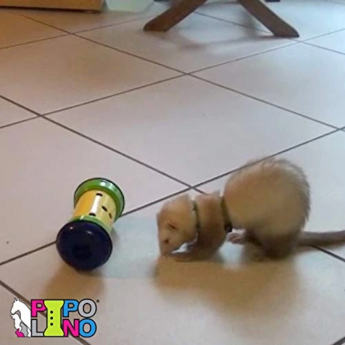 PIPOLINO Mobile Dispenser For Wellbeing/Health For Dogs Beige/Taupe S 7 PIPOLINO Mobile Dispenser For Wellbeing/Health For Dogs Beige/Taupe S - Image 5