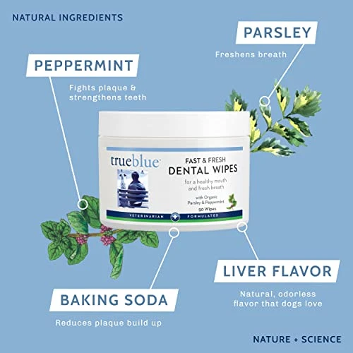 TrueBlue Parsley & Peppermint Fast And Fresh Dog Dental Swipes – Pre-Moistened Teeth Cleaning Pads - Non-Toxic, All-Natural Tooth Cleansing– 50 Count 5 TrueBlue Parsley & Peppermint Fast And Fresh Dog Dental Swipes – Pre-Moistened Teeth Cleaning Pads - Non-Toxic, All-Natural Tooth Cleansing– 50 Count - Image 3