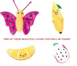 Aurora Pet Bundle Pack (2) The Honest Kitchen Human Grade Goat's Milk For Cats With AuroraPet Cat Toy (Assorted) -Pet Products Shop 41YSPNkgNIL