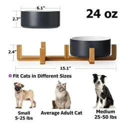 Y YHY 40oz Cat Treat Cookie Jar & 24oz Ceramic Dog And Cat Bowl Set -Pet Products Shop 41a0OIwXP4L