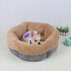 SENERY Winter Warm Beds For Small Dogs Deep Dish Dirt-Resist Waterproof Pet House Soft Comfort Puppy Cat Nest -Pet Products Shop 41aIxWBdCGL. AC