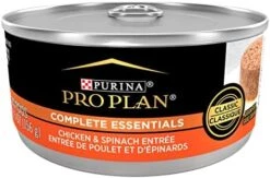 Purina Pro Plan Vital Systems Chicken Wet Cat Food Pate 4-in-1 Brain, Kidney, Digestive And Immune Formula - (24) 3 Oz. Cans -Pet Products Shop 41aa9l 6wsL. AC