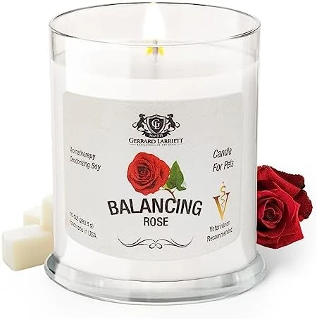 Gerrard Larriett - Deodorizing Soy Candles For Pets, Scented Candles For Removing Pet/Household Odors, Lasts Up To 40 Hours, White Candles For Home Scented With De-Stress Lavender & Chamomile Fragrance, 10 Oz 14 Gerrard Larriett - Deodorizing Soy Candles For Pets, Scented Candles For Removing Pet/Household Odors, Lasts Up To 40 Hours, White Candles For Home Scented With De-Stress Lavender & Chamomile Fragrance, 10 Oz - Image 12