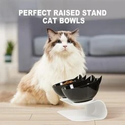 Cenivi Elevated Cat Bowls, Raised Cat Food Bowls, 15°Tilted Cat Bowls For Indoor Cats, Cat Food Water Bowls Set, Cat Bowls Elevated Tilted Whisker Friendly, Cute Cat Bowls Elevated, White 10 Cenivi Elevated Cat Bowls, Raised Cat Food Bowls, 15°Tilted Cat Bowls For Indoor Cats, Cat Food Water Bowls Set, Cat Bowls Elevated Tilted Whisker Friendly, Cute Cat Bowls Elevated, White -Pet Products Shop 41bPU5iqEvL