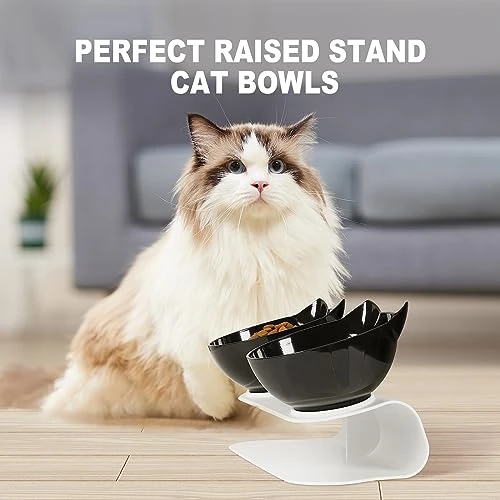 Cenivi Elevated Cat Bowls, Raised Cat Food Bowls, 15°Tilted Cat Bowls For Indoor Cats, Cat Food Water Bowls Set, Cat Bowls Elevated Tilted Whisker Friendly, Cute Cat Bowls Elevated, White 5 Cenivi Elevated Cat Bowls, Raised Cat Food Bowls, 15°Tilted Cat Bowls For Indoor Cats, Cat Food Water Bowls Set, Cat Bowls Elevated Tilted Whisker Friendly, Cute Cat Bowls Elevated, White - Image 3