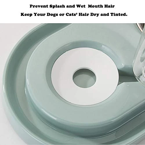 Double Dog Cat Bowls, Raised Pets Water And Food Bowl Set With Automatic Water Dispenser Bottle Detachable Stainless Steel Bowl No-Spill Pet Feeder For Small Medium Dogs And Cats Puppy Kitten Rabbit 6 Double Dog Cat Bowls, Raised Pets Water And Food Bowl Set With Automatic Water Dispenser Bottle Detachable Stainless Steel Bowl No-Spill Pet Feeder For Small Medium Dogs And Cats Puppy Kitten Rabbit - Image 4