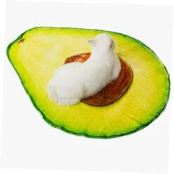 Holibanna Mexican Decor Tortilla Blanket Pet Blankets 2pcs Fleece Blankets For Pets Warm Pet Mats Pet Blanket Dog Pad Cat Mat Multipurpose Biscuits Coral Fleece Comfortable Cat Pads -Pet Products Shop 41bn8EdbkjL