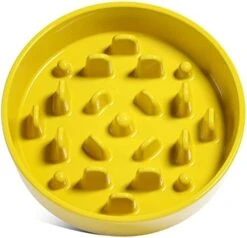 Ceramic Slow Feeder Dog Bowls Small Breed, 0.5 Cups Dog Food Dish For Fast Eaters, Puzzle Bowl For Small Dogs And Cats,5.5 Inch-Green 29 Ceramic Slow Feeder Dog Bowls Small Breed, 0.5 Cups Dog Food Dish For Fast Eaters, Puzzle Bowl For Small Dogs And Cats,5.5 Inch-Green -Pet Products Shop 41hXxXEHmZL. AC