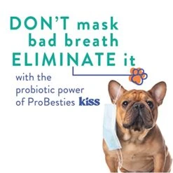 ProBesties Kiss (sm) - Bad Breath Treatment For Dogs - Dog Breath Freshener & Probiotic Perio Support - Dog Bad Breath Eliminator 10 ProBesties Kiss (sm) - Bad Breath Treatment For Dogs - Dog Breath Freshener & Probiotic Perio Support - Dog Bad Breath Eliminator -Pet Products Shop 41heXOeLqXL