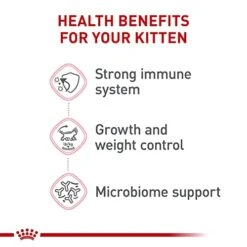 Royal Canin Feline Health Nutrition Kitten Spayed/Neutered Dry Cat Food, 2.5 Lb Bag -Pet Products Shop 41k2Nt7H1yL