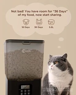 Ciays Automatic Cat Feeders, 5.6L Cat Food Dispenser Up To 20 Portions Control 4 Meals Per Day, Pet Dry Food Dispenser For Small Medium Cats Dogs, Dual Power Supply & Voice Recorder, Black, PAF-A06 -Pet Products Shop 41mM12hkYPL
