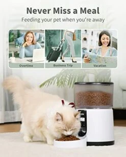 Automatic Cat Feeder, Arspic 4L Auto Cat Food Dispenser With Programmable Timer Feeder And Portion Control Automatic Pet Food Feeder For Small & Medium Cats Dogs With Desiccant Bag & Voice Recorder -Pet Products Shop 41n2xKDmC7L