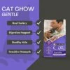 Purina Cat Chow Gentle Sensitive Skin And Stomach Bundle | Includes 2 Bags Of Purina Gentle Cat Food Turkey Flavor (3.15 LB) | Plus Paw Food Scoop! -Pet Products Shop 41nfEG9178L