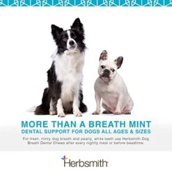 Herbsmith Dog Breath - Dog Dental Care Solution - Natural Dog Breath Freshener That Tackles Tartar - Dental Powder For Dogs - 500g Powder -Pet Products Shop 41ohVsm49bL