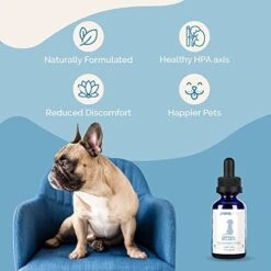 Adrenal Balance For Dogs With Cushing’s & Immunity Blend (Formerly C-Support) Supplement For Dogs & Cats -Pet Products Shop 41p7hzWrQzL