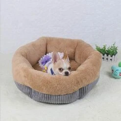 SENERY Winter Warm Beds For Small Dogs Deep Dish Dirt-Resist Waterproof Pet House Soft Comfort Puppy Cat Nest -Pet Products Shop 41pKMHGsqjL