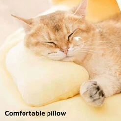 GENERIC Semi-Enclosed Cat Bed - Lovely Round Food Print Kennel Cat Bed Mat Cushion Bed House Kitten Cute Cat Soft Cave Bed For Dog Cat Pet Supply Home Décor -Pet Products Shop 41qUVjDljGL