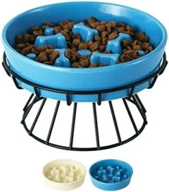 8.25'' Ceramic Slow Dog Bowl With Elevated Metal Stand, 1.75 Cups Non-Slip Puzzle Raised Dog Bowl Feeder, Slow Down Eating Anti-Choking Food Bowl Dish For Small And Medium & Large Dogs - Beige Color 17 8.25'' Ceramic Slow Dog Bowl With Elevated Metal Stand, 1.75 Cups Non-Slip Puzzle Raised Dog Bowl Feeder, Slow Down Eating Anti-Choking Food Bowl Dish For Small And Medium & Large Dogs - Beige Color -Pet Products Shop 41qgTuWbYOL. AC