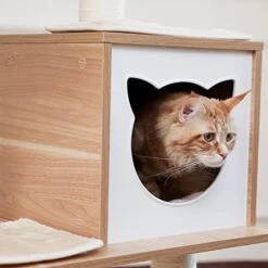 66" In Cat Tree Multi-Level Cat Tower With Fully Sisal Covering Scratching Posts,CARB-Certified Board,Deluxe Condos And Large Space Capsule Nest -Pet Products Shop 41saWNZ31YL