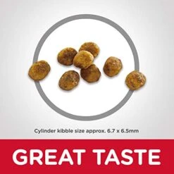 Hill's Science Diet Dry Cat Food, Adult 7+ For Senior Cats, Chicken Recipe, 7 Lb. Bag 13 Hill's Science Diet Dry Cat Food, Adult 7+ For Senior Cats, Chicken Recipe, 7 Lb. Bag -Pet Products Shop 41vU1wAP12L