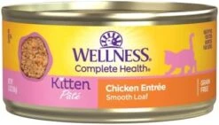 Wellness Complete Health Seafood Pate Favorites Variety Pack, 3 Ounces (Pack Of 24) 31 Wellness Complete Health Seafood Pate Favorites Variety Pack, 3 Ounces (Pack Of 24) -Pet Products Shop 41wXR LXPlL. AC